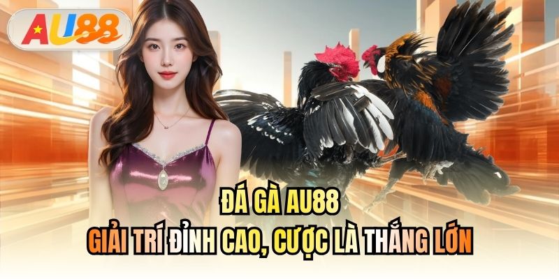 Đá Gà AU88 - Giải Trí Đỉnh Cao, Cược Là Thắng Lớn